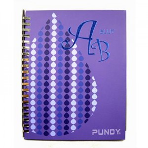 PUNDY Cahier à anneaux DIY