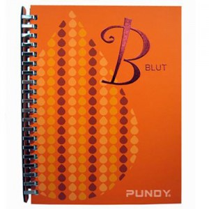 PUNDY DIY Binder-Notizbuch