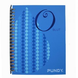 PUNDY Cahier à anneaux DIY