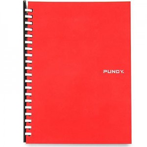 PUNDY Cahier à anneaux DIY